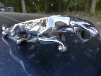 Rénovation intérieur cuir Jaguar XJ40 RC Sellerie